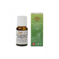 AROMASAN eucalyptus radia huil ess étui bio 15 ml