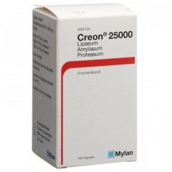 Creon 25000 caps 100 pce