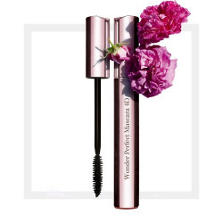 CLARINS Wonder Perfect mascara 4D WP BRUN 02