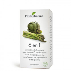 Phytopharma 6 en 1 120 comprimés