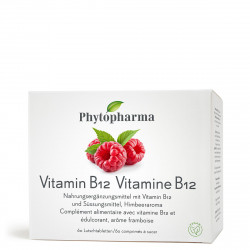 Phytopharma Vitamine B12 60...